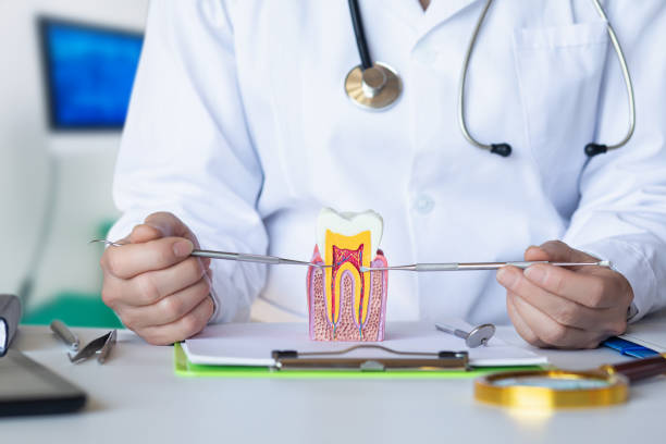 Best Dentist for Tooth Abscess  in Oak Forest, IL